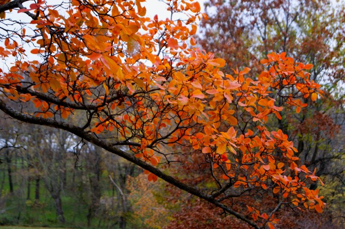 Atchison, KS – Version 2